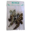 011 0699 Magnet Set 2